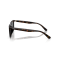 Ray-Ban RB 4439D 710/87 Güneş Gözlüğü