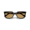 Ray-Ban RB 4439D 901/73 Güneş Gözlüğü