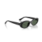Ray-Ban RB 4441D 667771 Güneş Gözlüğü