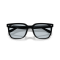 Ray-Ban RB 4466D 601/72 Güneş Gözlüğü