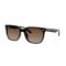 Ray-Ban RB 4466D 714/13 Güneş Gözlüğü