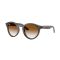 Ray-Ban RB R0505S 6707CB Güneş Gözlüğü
