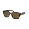 Ralph Lauren RL 8205 513480 Güneş Gözlüğü