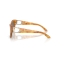 Ralph Lauren RL 8206U 605173 Güneş Gözlüğü