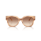 Ralph Lauren RL 8221 617913 Güneş Gözlüğü