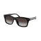 Ralph Lauren RL 8237U 50018G Güneş Gözlüğü