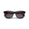 Ralph Lauren RL 8239U 50011A Güneş Gözlüğü