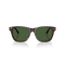 Ralph Lauren RL 8239U 500371 Güneş Gözlüğü