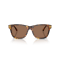 Ralph Lauren RL 8239U 513473 Güneş Gözlüğü