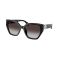 Swarovski SK 6044U 10018G Güneş Gözlüğü