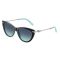 Tiffany TF 4253 80559S Güneş Gözlüğü