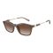 Armani Exchange AX 4146SU 834913 Güneş Gözlüğü