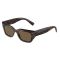 Dolce & Gabbana DG 4462 502/73 Güneş Gözlüğü