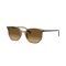 Ray-Ban RB 2197 1439M2 Güneş Gözlüğü