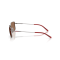 Arnette AN 3095 745/73 Güneş Gözlüğü