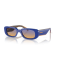 Arnette AN 4317 12392H Güneş Gözlüğü