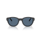 Arnette AN 4375 30271W Güneş Gözlüğü