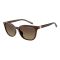 Armani Exchange AX 4168SU 8402T5 Güneş Gözlüğü