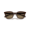 Armani Exchange AX 4168SU 8402T5 Güneş Gözlüğü