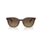 Armani Exchange AX 4168SU 8402T5 Güneş Gözlüğü