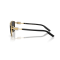 Dolce & Gabbana DG 2336 02/87 Güneş Gözlüğü