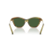 Dolce & Gabbana DG 4534 347571 Güneş Gözlüğü