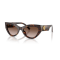 Dolce & Gabbana DG 4536 502/13 Güneş Gözlüğü