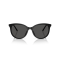 Dolce & Gabbana DG 4540 501/87 Güneş Gözlüğü