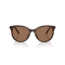 Dolce & Gabbana DG 4540 502/13 Güneş Gözlüğü