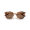 Jimmy Choo JC 5060 509773 Güneş Gözlüğü