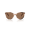 Jimmy Choo JC 5060 509773 Güneş Gözlüğü