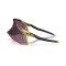 Oakley OO 9501 950109 Güneş Gözlüğü