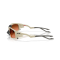 Oakley OO 9529 952903 Güneş Gözlüğü