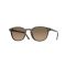 Oliver Peoples OV 5219S 1820GN Güneş Gözlüğü
