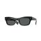 Oliver Peoples OV 5609SU 1492P2 Güneş Gözlüğü